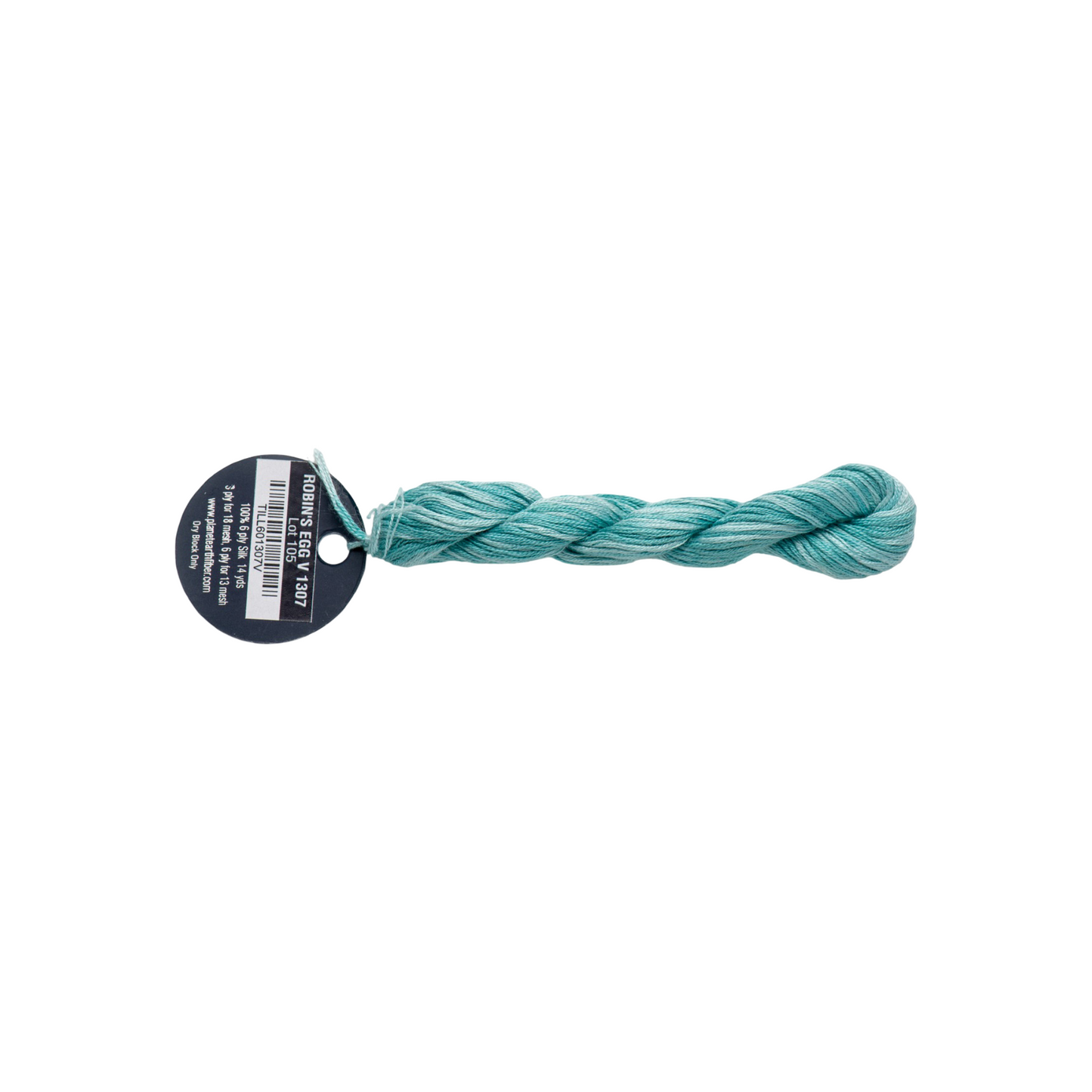 Planet Earth Silk 8 Ply Variegated Robin's Egg 1307V