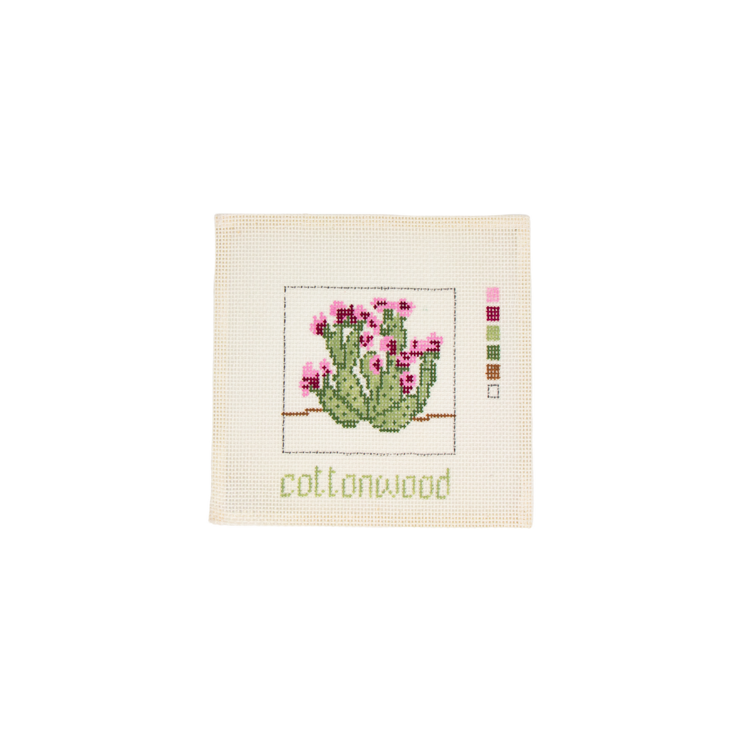 Cottonwood Cactus