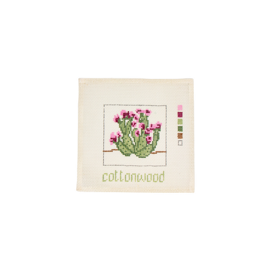 Cottonwood Cactus