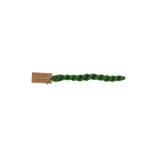 Silk & Ivory Asparagus 084