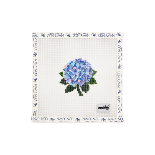Hydrangea