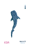 Cordelia the Whale Shark - Without Background