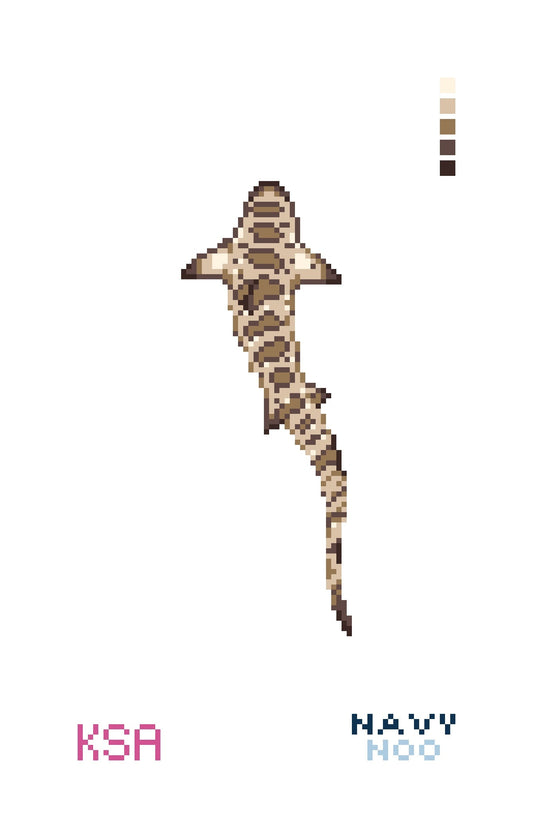 Lainey the Leopard Shark