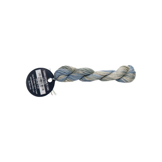 Planet Earth Silk 8 Ply Variegated Cobblestone 1303V