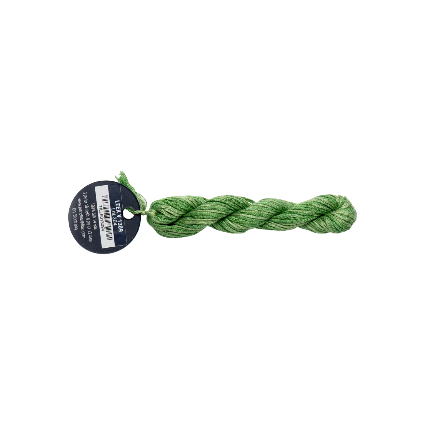 Planet Earth Silk 8 Ply Variegated Leek 1309V