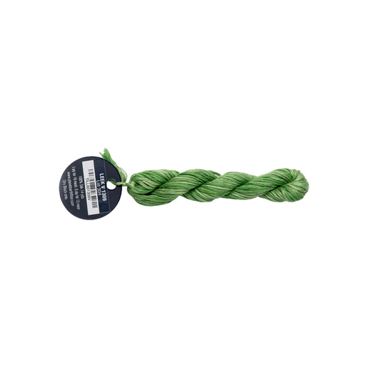 Planet Earth Silk 8 Ply Variegated Leek 1309V