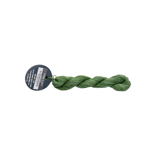 Planet Earth Silk 8 Ply Variegated Flora 1311V