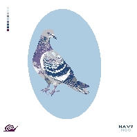 Blue Pigeon Canvas – WHOLESALE