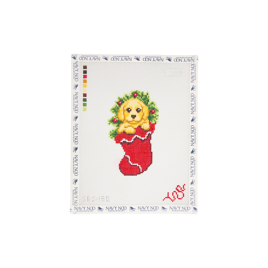Golden in a Stocking